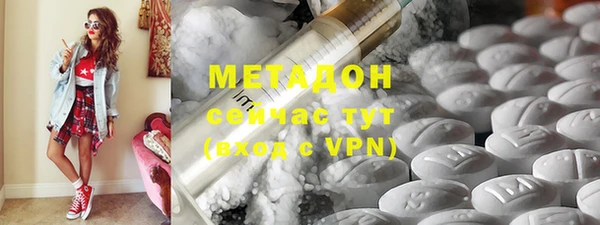индика Алзамай