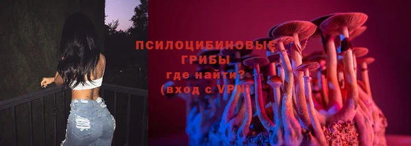 индика Алзамай