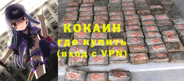 индика Алзамай