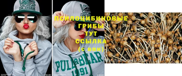 индика Алзамай