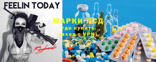 индика Алзамай