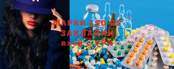 индика Алзамай