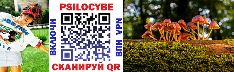 Псилоцибиновые грибы Cubensis  магазин продажи наркотиков  гидра ссылка  Усолье-Сибирское 